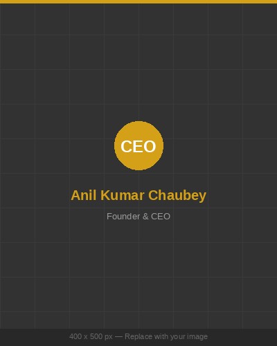 Anil Kumar Chaubey - CEO